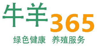 牛羊365